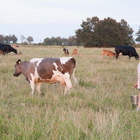 Agroturystyka Lolkowo Srokowo Kültér fotó