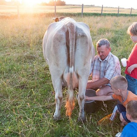 Agroturystyka Lolkowo Srokowo Kültér fotó
