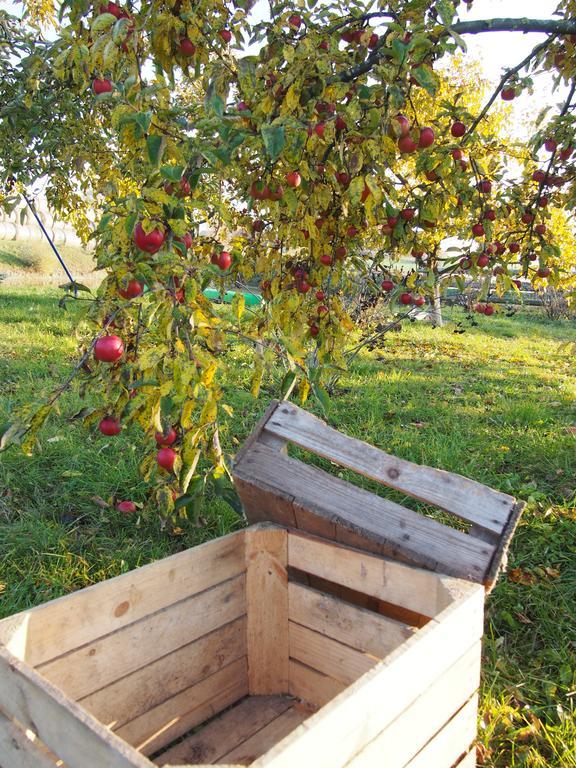 Agroturystyka Lolkowo Srokowo Kültér fotó