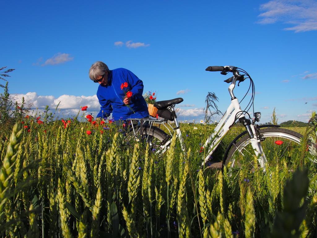 Agroturystyka Lolkowo Srokowo Kültér fotó